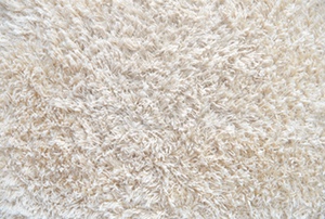 a white rug with a shaggyy texture