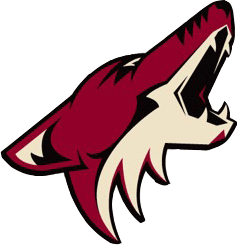 Jani-King sponsors Phoenix Coyotes