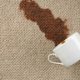 3 Carpet Cleaning Tips That Can’t Be Beat—Even Though They Should Be