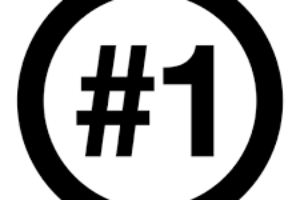 jani-king is number 1