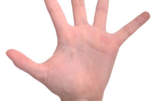 5 important jani-king franchise training