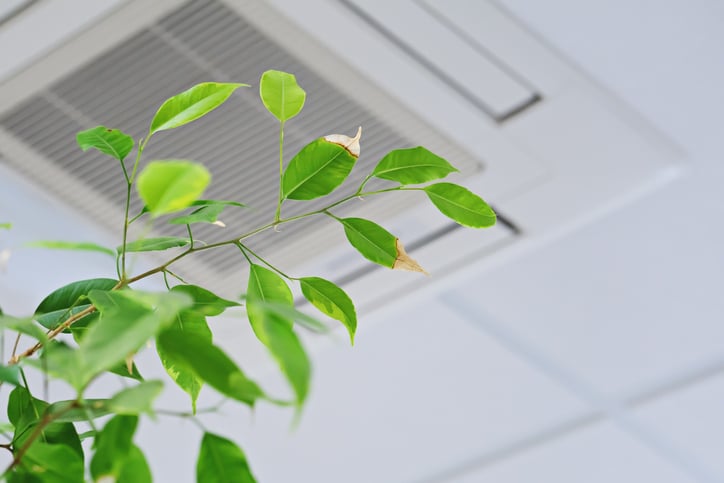 importance of indoor air quality