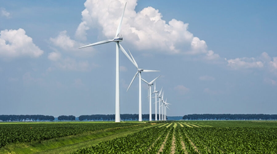 Wind Farms, Toilets, and Cash - Jani-King