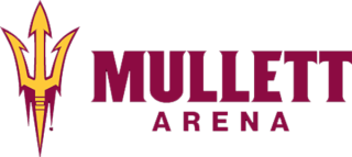 logo-MullettArena